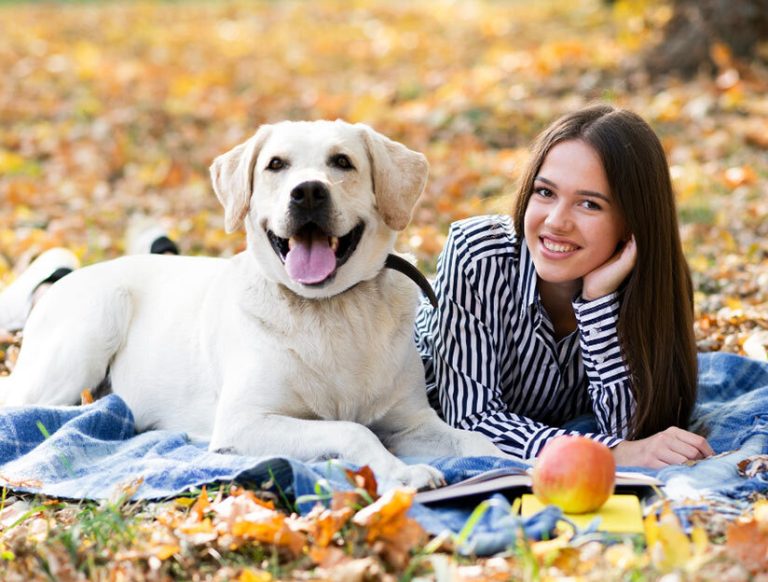 Pet Feed Supplement